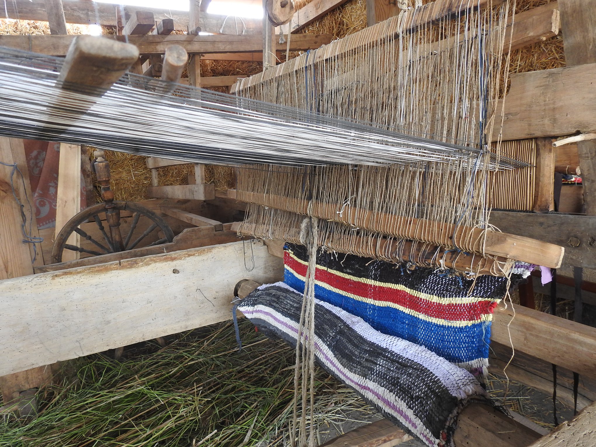 68804317 2650811681636994 2082937805733888000 o