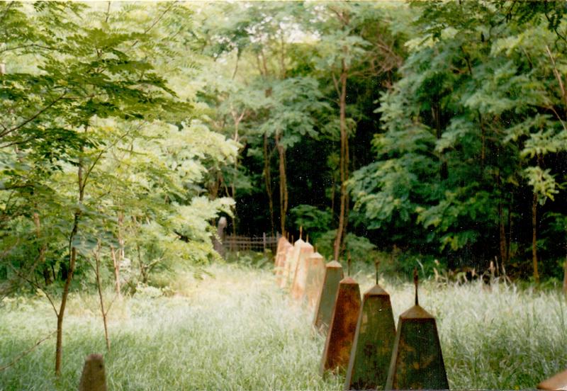 Могили солдат 0002