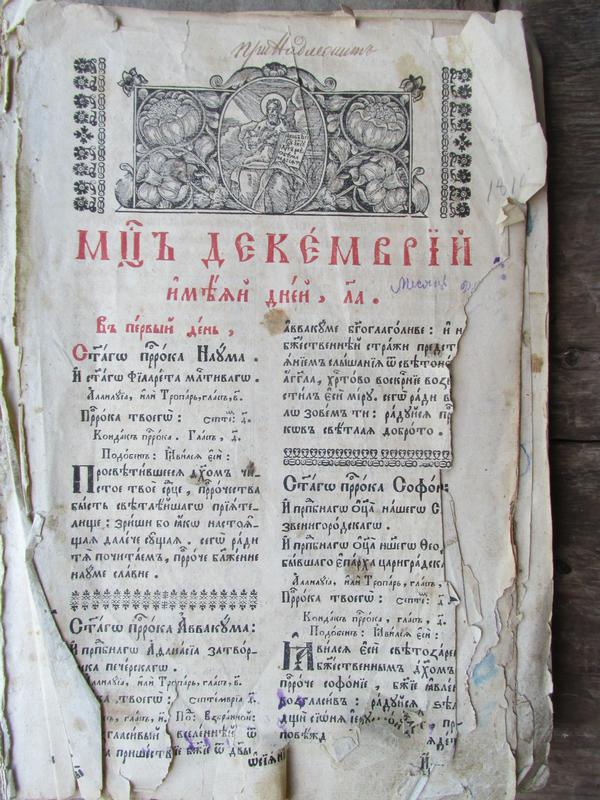 Молит 1 IMG 7979