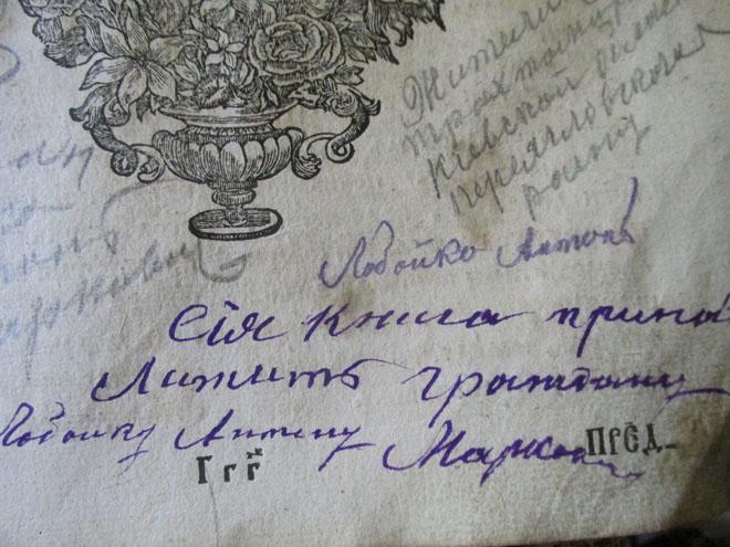 Молит 2 IMG 7976