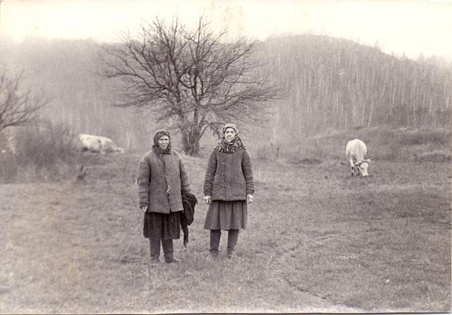 Пасуть корів 0007